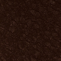 Крокодил Коричневый